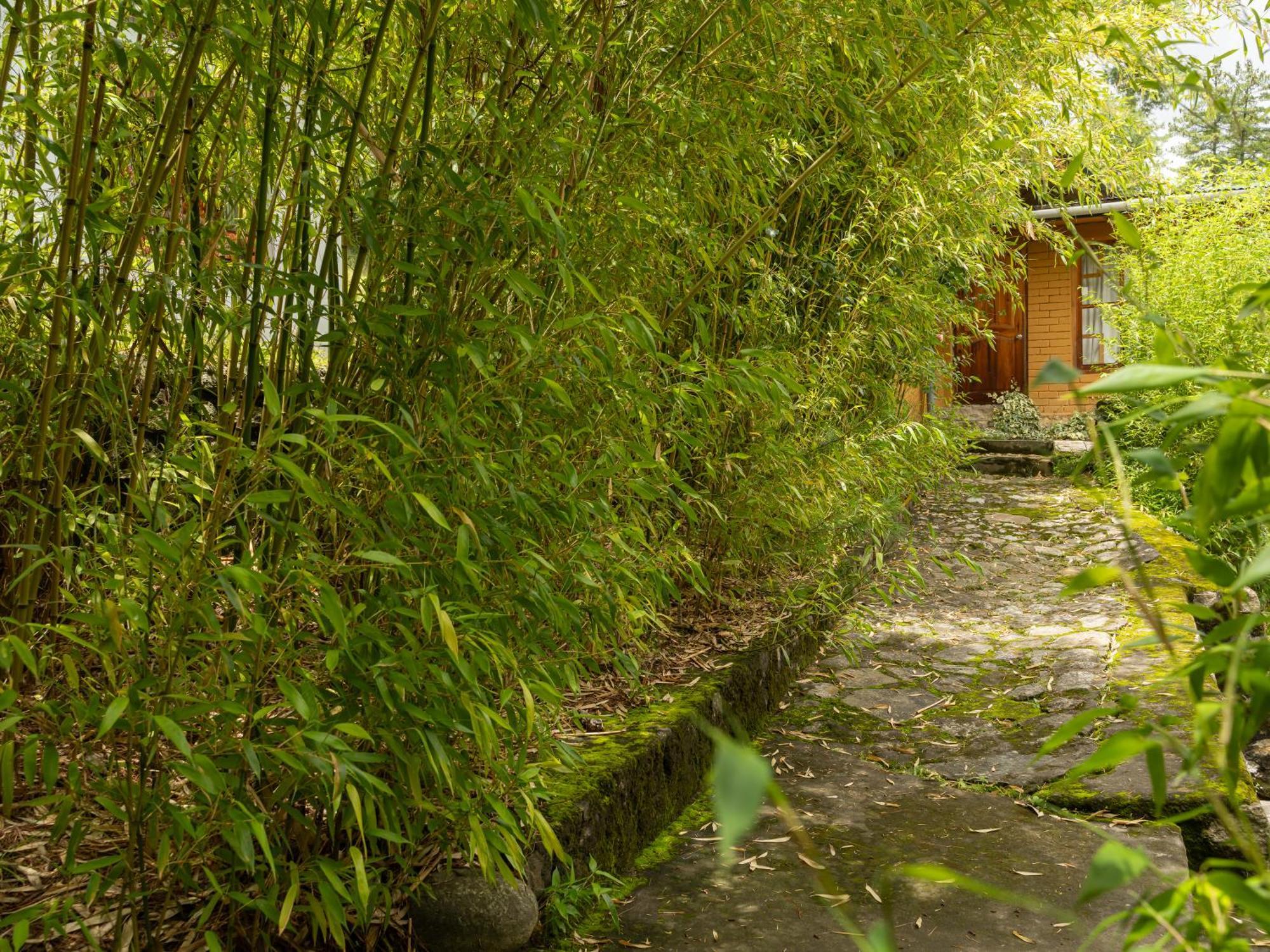 Tiger'S Nest Resort - Best Resort In Паро Екстериор снимка